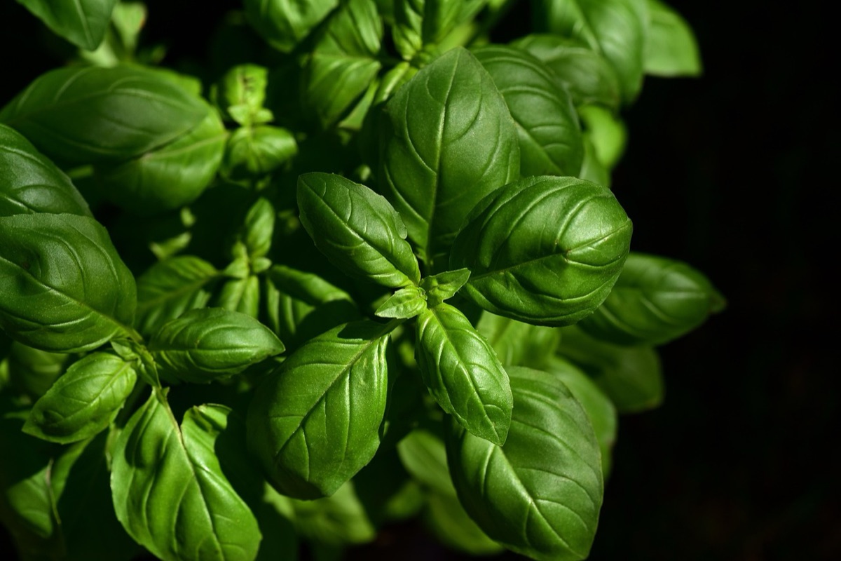 Ingredienti cosmetici e strumenti di laboratorio in vetro