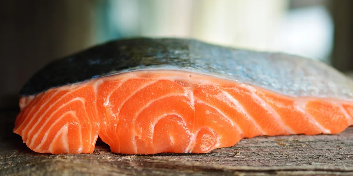 salmon, fish, seafood, nature, silver skin, food, healthy, fresh, nourishment, meal, cook, prepare, nutrient