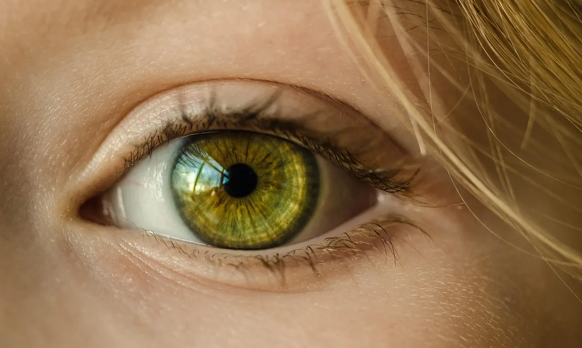 eye, iris, look, focus, green eye, close up, retina, pupil, eyeball, vision, sight, macro, girl, young, female, skin, caucasian, eyelashes, eye, eye, eye, eye,
