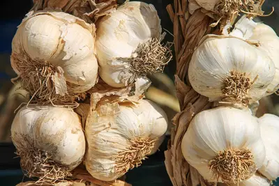 Wat Firm 15% doen ingrediënten voor de huidstructuur?
